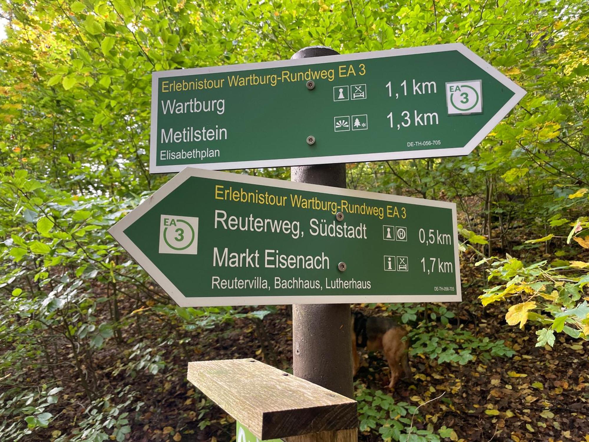 Zentral Gelegenes Apartment Am Fusse Der Wartburg Эйзенах Экстерьер фото